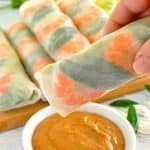 Vietnamese Rice Paper Rolls