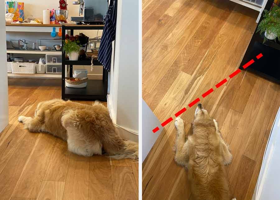 Dozer kitchen barrier breach