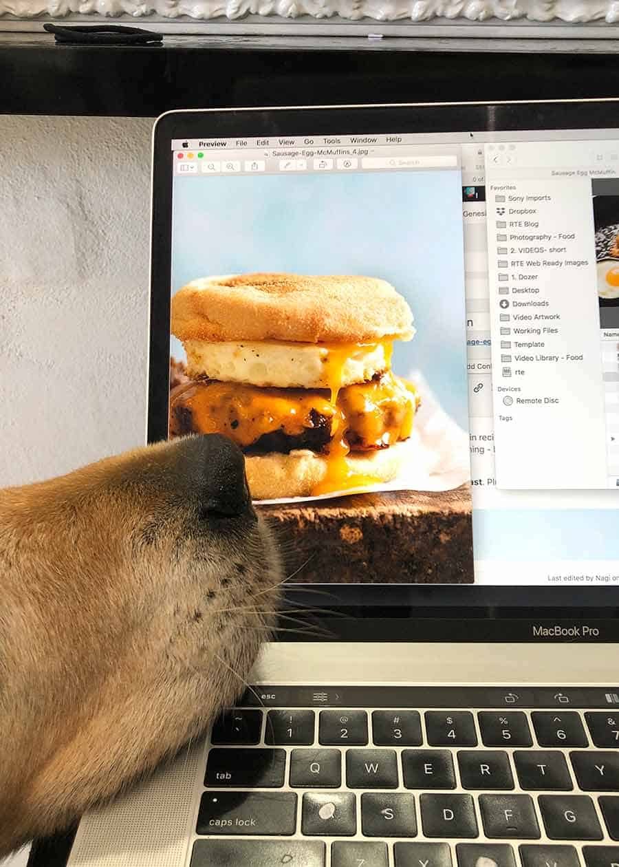 Dozer the golden retriever dog sausage and egg mcmuffin