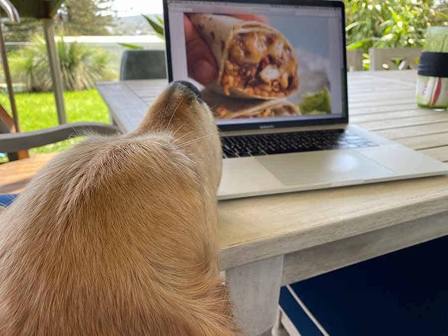 Dozer checking out burrito on screen