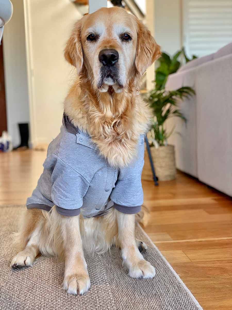 Dozer-lightweight-hoodie